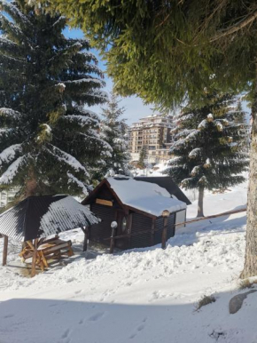 Vikendica Čeperković #2, Kopaonik